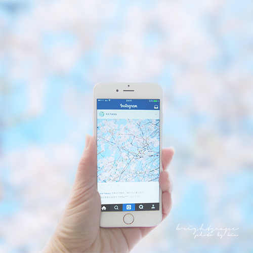 iPhoneで桜を撮影